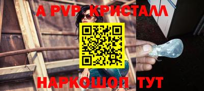 спиды Аргун