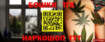 прущие грибы Камышлов